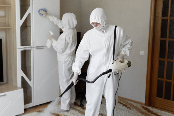 Trusted Sewage Cleanup service in Maple Heights, OH - Four Month Blood Cleanse